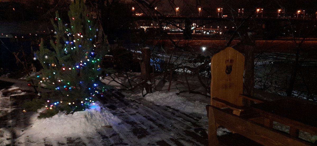 Ёлочка гори...🤗🤘