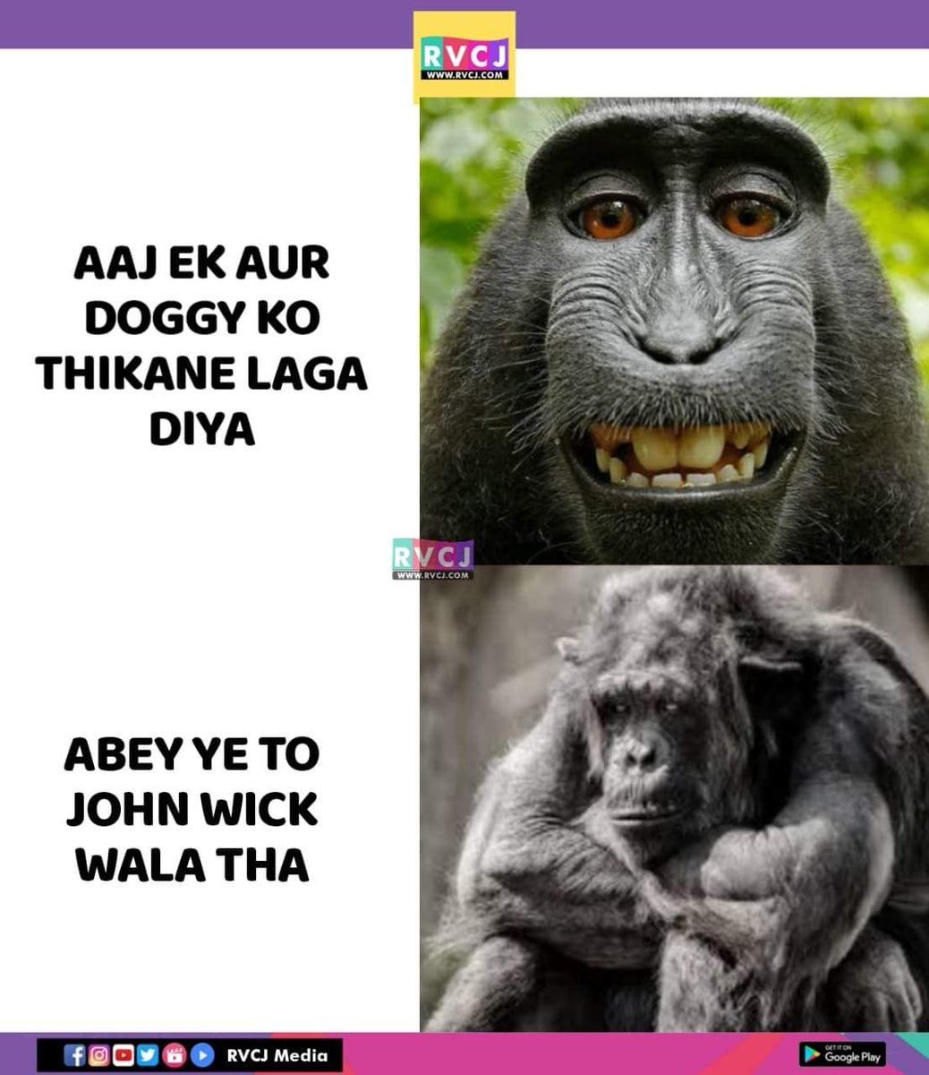 RVCJ_FB's tweet photo. https://t.co/udw2153qgS