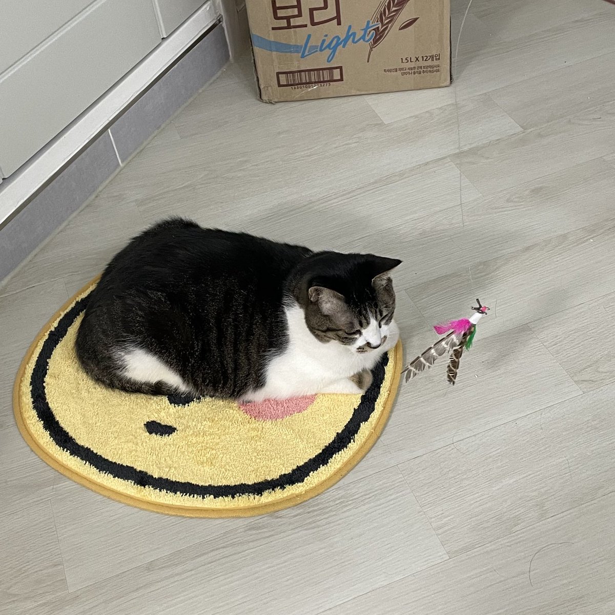 _yomi317's tweet photo. 욤드로야너는고양이를 낚는 낚시꾼이���어라.. https://t.co/9bKLZYl4HH