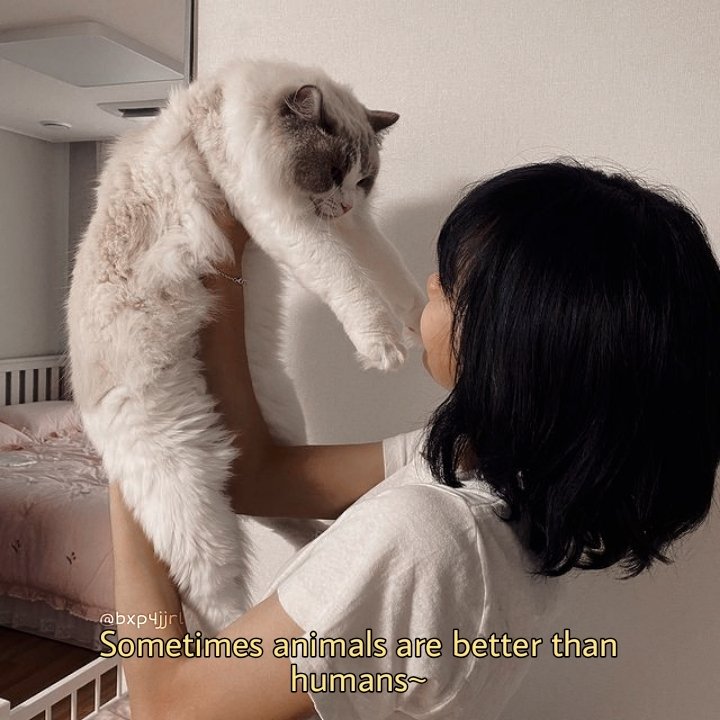 bxp4jjrl's tweet photo. <3 ☕
ᶜᵒᶠᶠⁱᵉ ᵖᵒᵗ
Hi~Bye
°What's your favorite animal?°
.
.
.
.
[Target] 🎯
#blackpink #blink #lisa #manoban #lalisa #manobanlalisa #lalisamanoban #quote #quotes 
 #<3 https://t.co/vQ1tRfpLrq