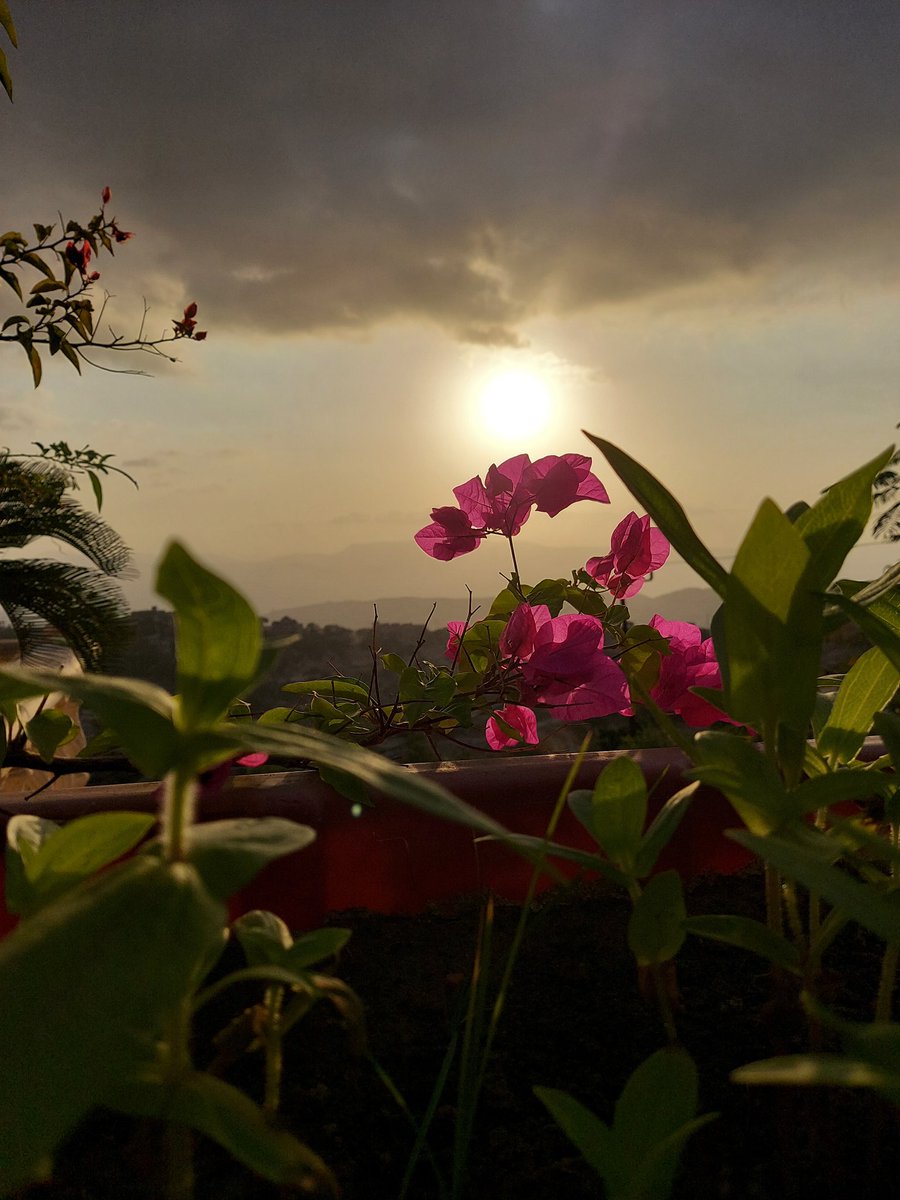 abusami75's tweet image. 