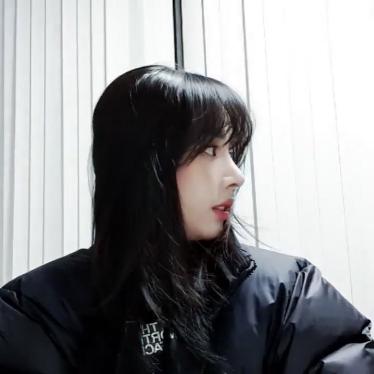 일찐을 삼킨 레전드얼짱강아지 1