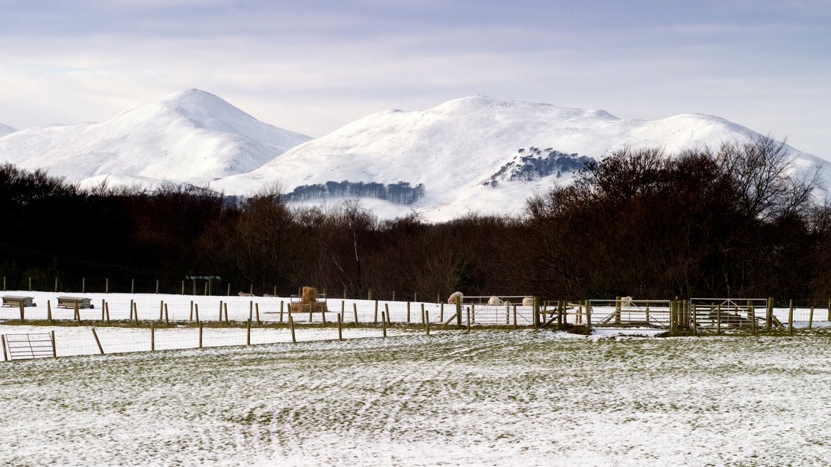 The festive season can be a tough time for many people. Please don’t hesitate to call us on 0300 111 4166 if you’re finding things difficult.