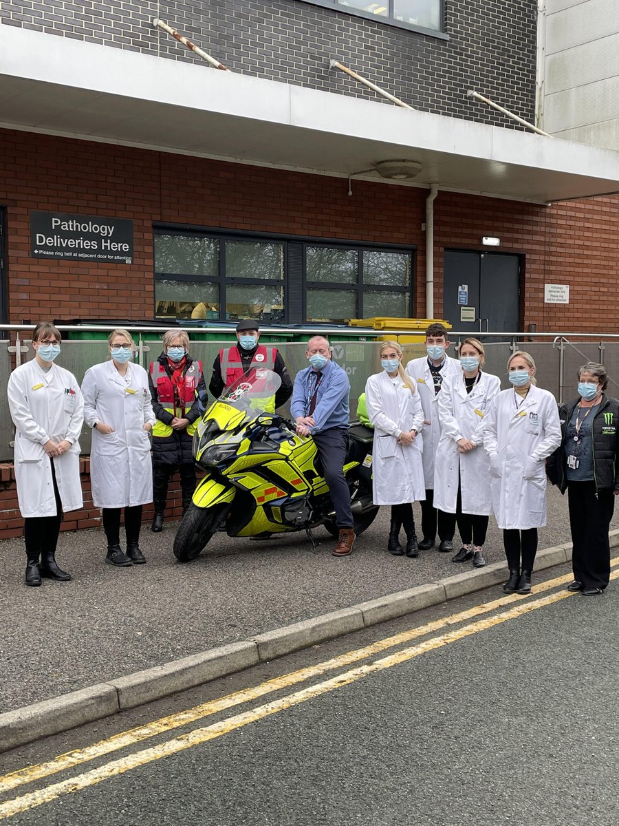 SFH Pathology tweet media