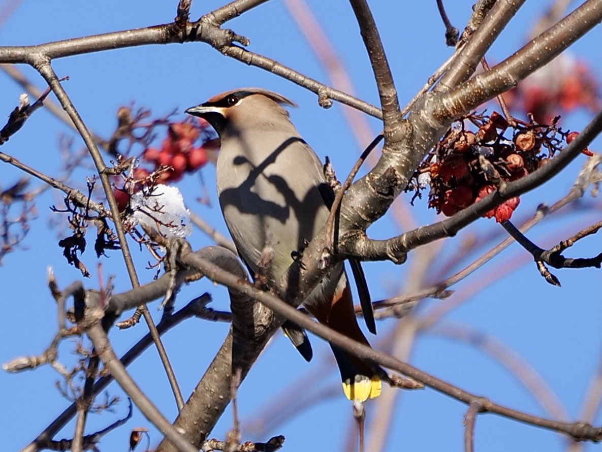 Barbara Coll tweet media