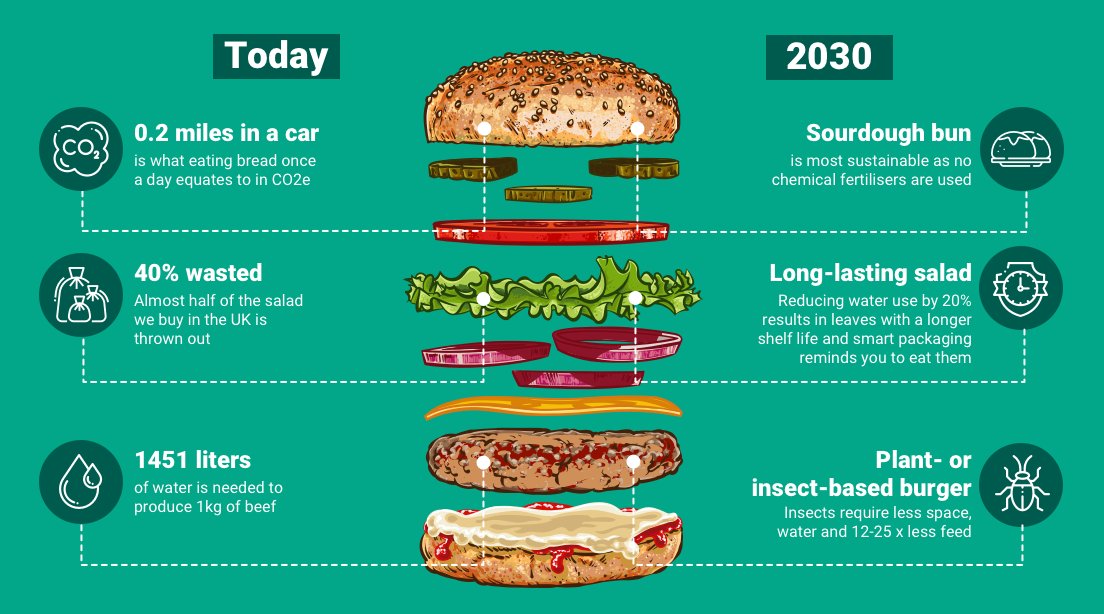 UKRI_News's tweet photo. Implementing a Net Zero diet not only offers health benefits but can also combat global warming and promote economic growth.
Our infographic shared by @TheFlexitarian highlights how we could be eating in 2030 π
https://t.co/a3Ywx3d0rq
#NetZeroEating #ClimatePositiveMenu https://t.co/7voyWejqpx