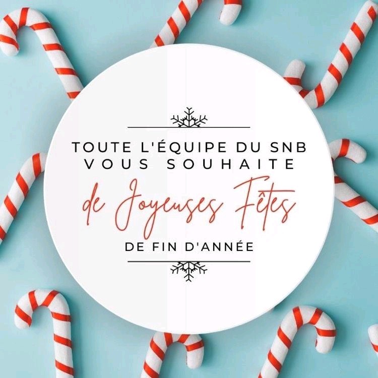 SNB_LBP's tweet photo. L'équipe SNB/CFE-CGC LBP vous souhaite de joyeuses fêtes de fin d'année ! https://t.co/WNNclucnlc
