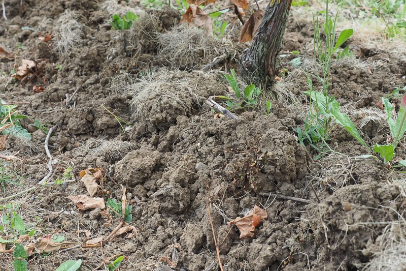 Jamie Goode tweet media