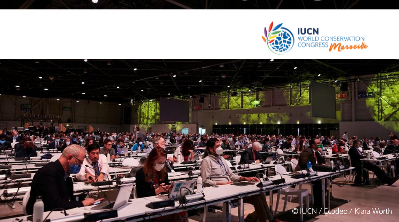 IUCNssc's tweet photo. The Marseille Manifesto, which includes many notable and important commitments and announcements arising from the Congress events, is available on the @IUCN website
⤵️⤵️⤵️⤵️
https://t.co/oh8xUGS6G4
#IUCN #MarseilleManifesto #OneNatureOneFuture #IUCNWorldConservationCongress https://t.co/MIBtIBGGi3