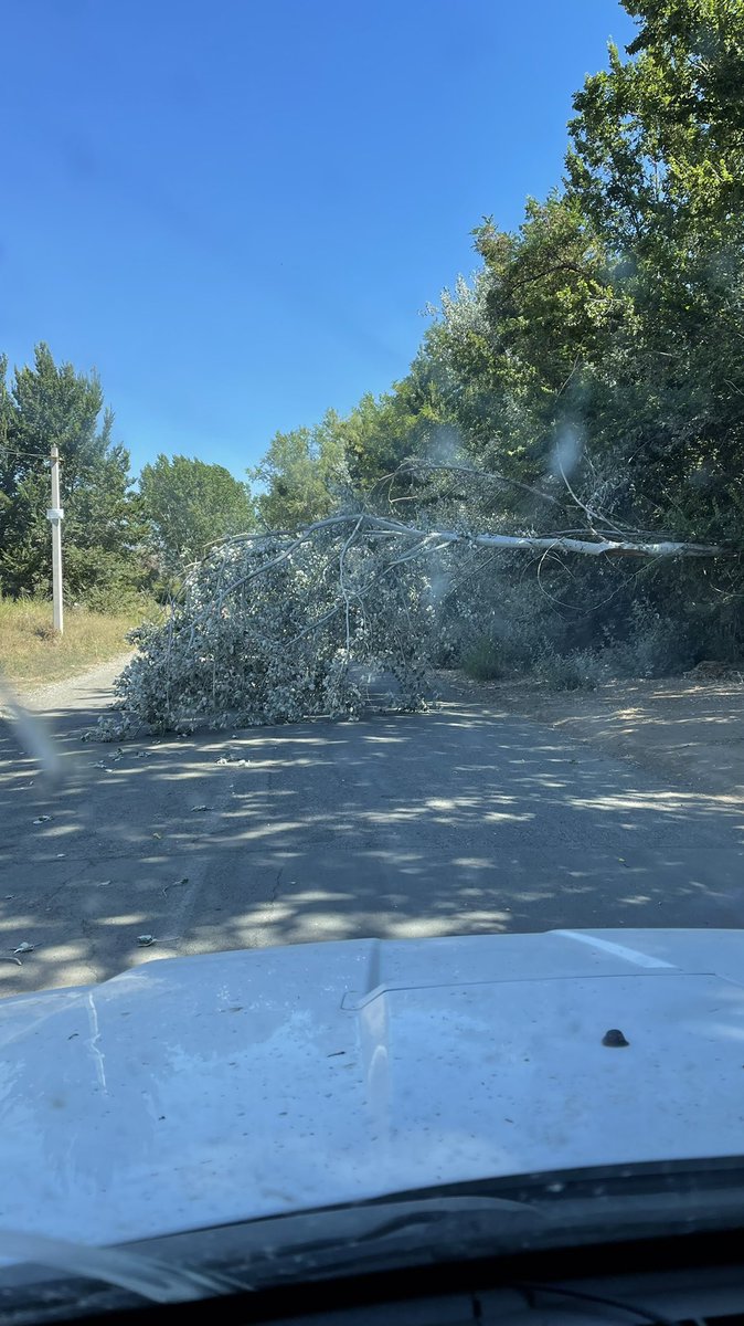 Cuidado en #Machali sector Sauzal, cerca de Nogales. Caída de ÁRBOL.
Aparte del pésimo camino que no han arreglado, un árbol cruzado, como si no fuera difícil pasar ya. <a href="/DiarioelMachali/">El Machalino</a> <a href="/Machali_Digital/">Machalí Digital</a> <a href="/DiarioelMachali/">El Machalino</a> <a href="/MachaliConecta/">MachaliConectado.cl</a> <a href="/BomberosMachali/">Primera Machalí</a> <a href="/RadioMachali/">RadioMachalí</a>