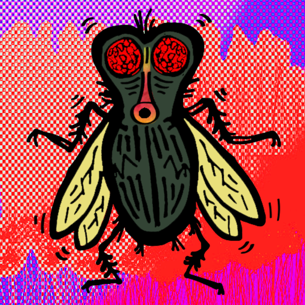twitchyfriends's tweet photo. @goldenebrowntv https://t.co/e10Blw6bb7
#NFTs #NFT #NFTLAUNCH #NFTCommmunity #nftcollector #nftart #NFTGiveaways #Polygon #NoGasFees #opensea #housefly #TWITCHYFRIENDS https://t.co/rIAoMB8kVt