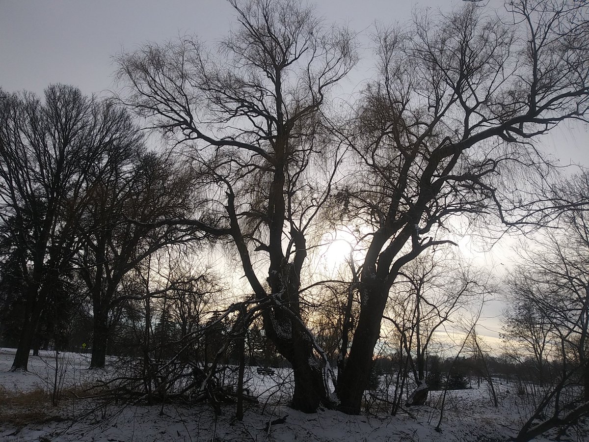 Katherine4Parks's tweet photo. 12.2021. #Parks #USA #MidDay #Monday #Photos #Outside #Peace #Joy https://t.co/LMtU6GdWsH