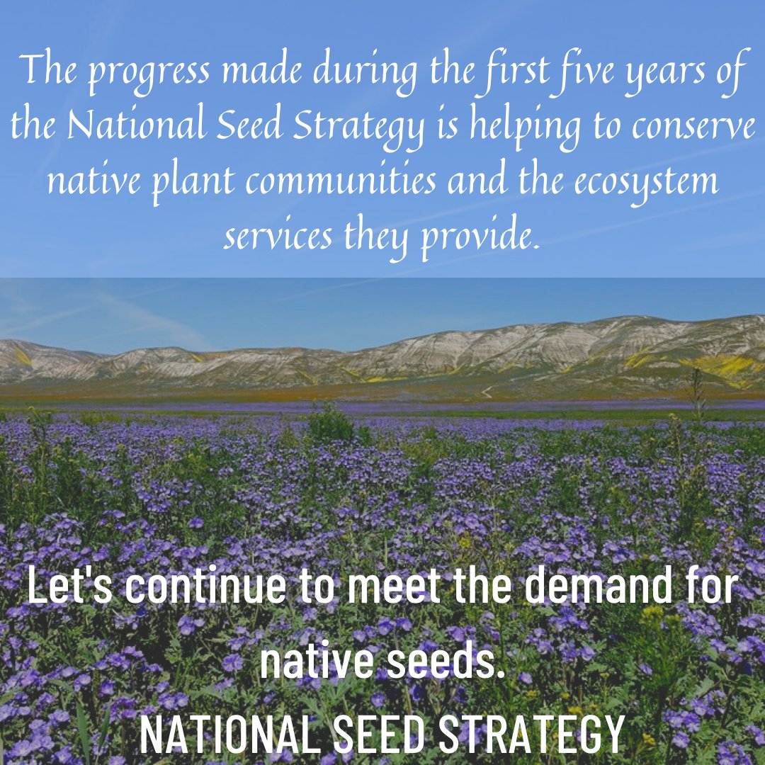National Seed Strategy tweet media