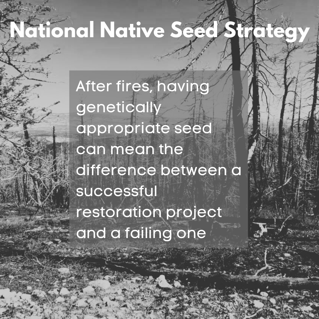 National Seed Strategy tweet media