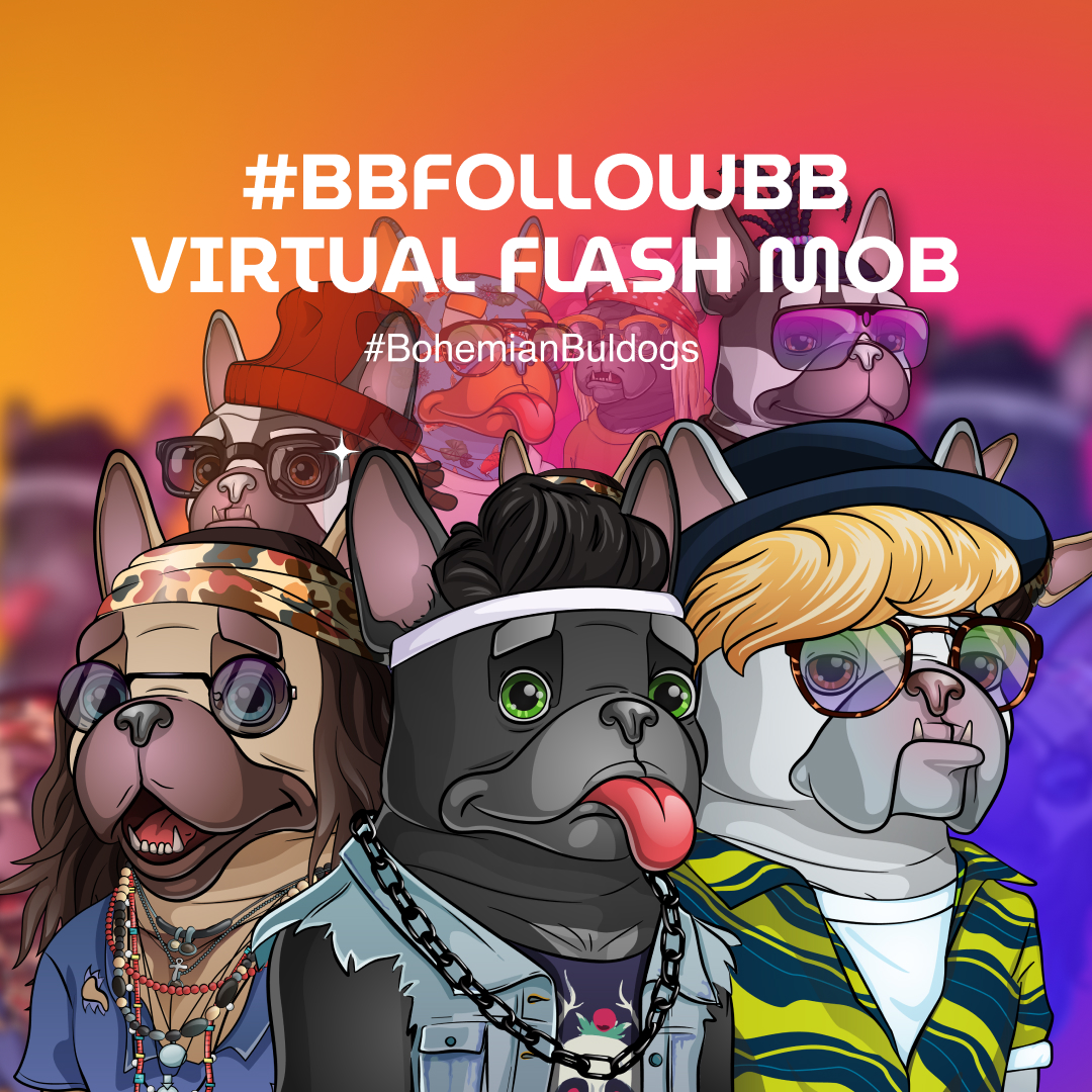 BohemianBullDogs tweet media