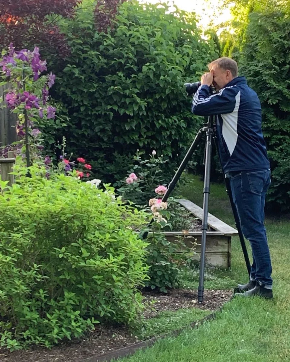 So excited to have an article about my garden in <a href="/GardenGateMag/">Garden Gate Magazine</a> #roses #gardenersworld #rosechat #gardenchat #gardening #gardeners