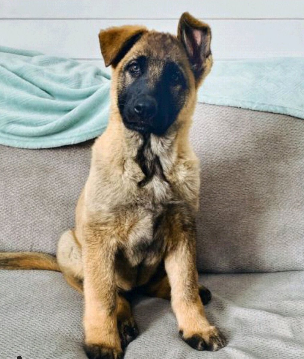 OPP West Region tweet media