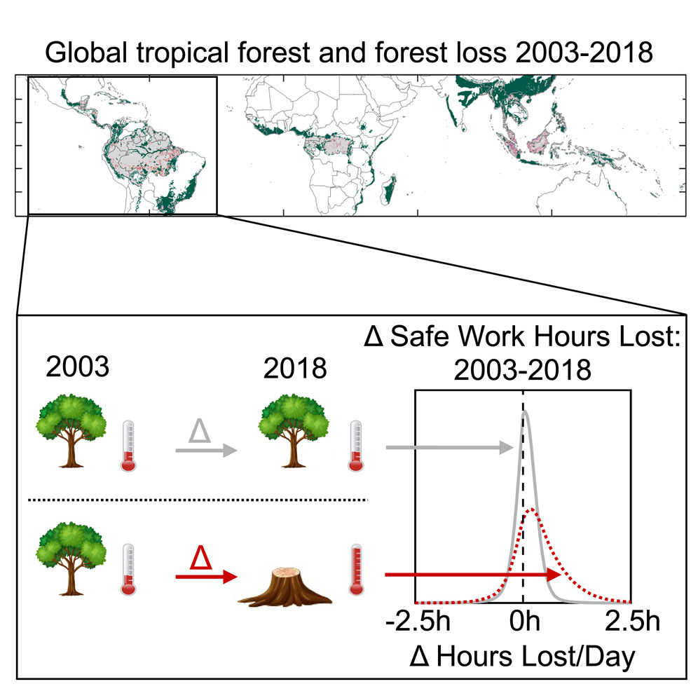 New article: <a href="/LukeAParsons/">Luke Parsons</a> et al. show that tropical #deforestation between 2003-2018 exacerbated local impacts of global warming &amp; led to unsafe thermal environments for 2.8 million outdoor workers. cell.com/one-earth/full… #openaccess