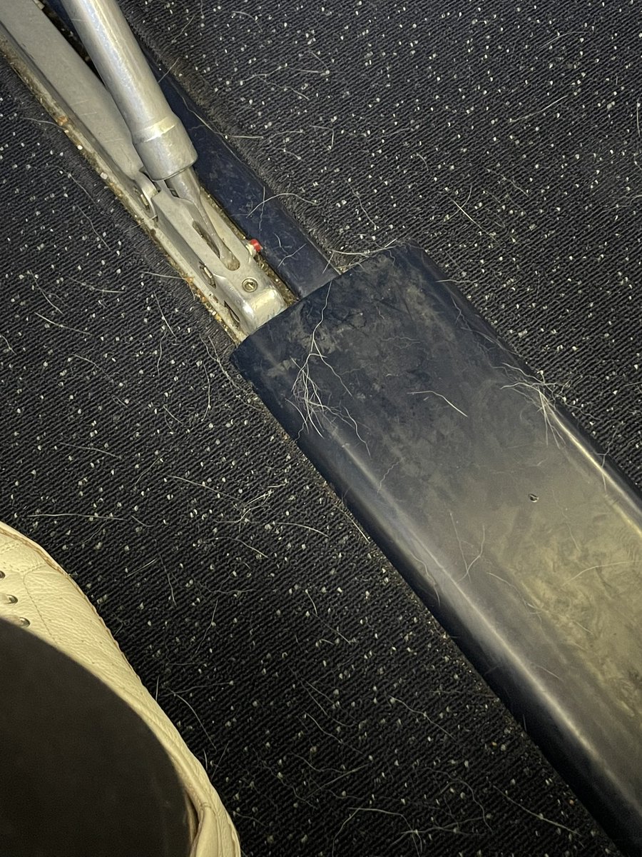 ShamekaMBrown's tweet photo. @Delta I just got off flight 1370, seat 14A from LGA to MIA, covered in dog hair. The only problem? I don’t have a dog! Two medium service dogs sat behind me. It was great having an empty middle seat until one dog got loose and shook dander ALL IN MY ROW! #NotHappy #Disgusting https://t.co/28s8o8Opqg