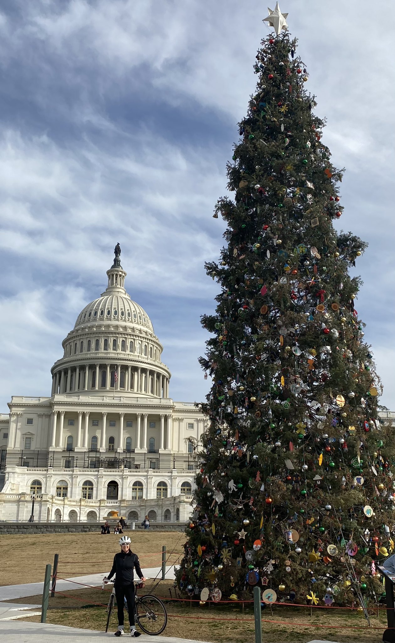 2022 Us Capitol Christmas Tree U.s. Capitol Christmas Tree (@Uscapitoltree) / Twitter