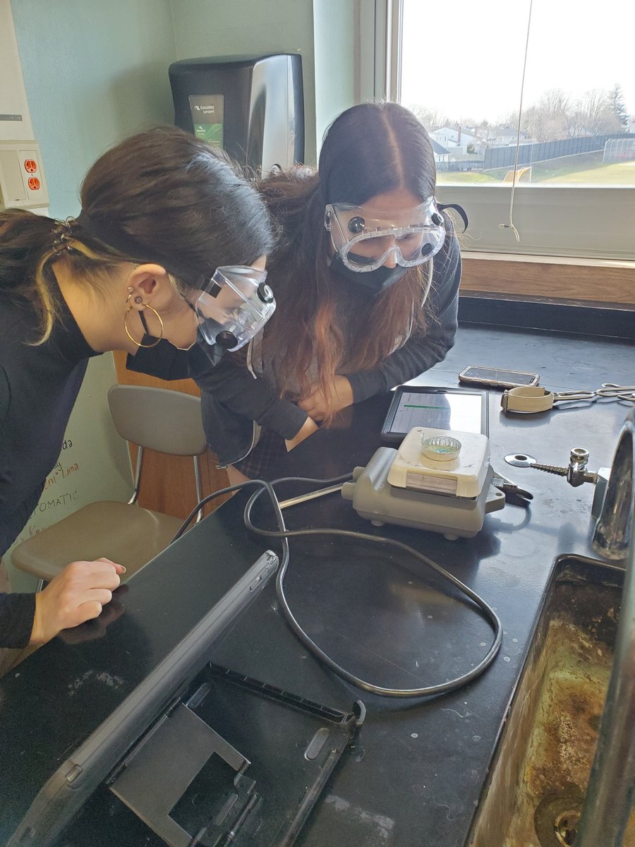 mrsadamski1's tweet photo. Chemistry students evaporating the water from an unknown hydrate and using their calculations to determine the unknown substance! #mineolaproud #mineolachem #hydratelab https://t.co/8c5Sy578it