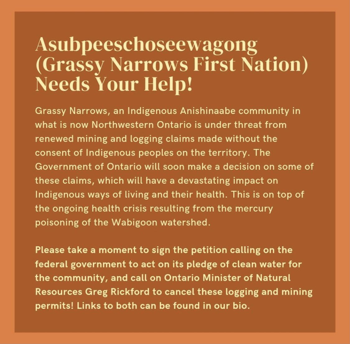 Please use the link below to support Grassy Narrows First Nation in their fight against unwanted mining and logging claims on their territory! @theccecj #environmentaljustice #environmentalracism freegrassy.net/callrickford/ (📸: uofgsec on Instagram)