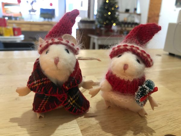 Folkmanis Puppets tweet media