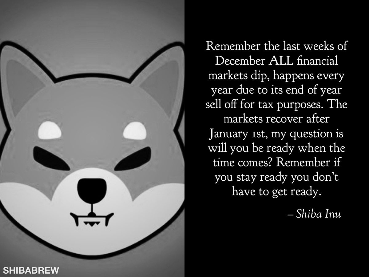 kerzzzy's tweet image. #ShibaArmy #shibainu 
Just be ready for the new year my shiba friends,the time it’s coming 🔥🔥🔥