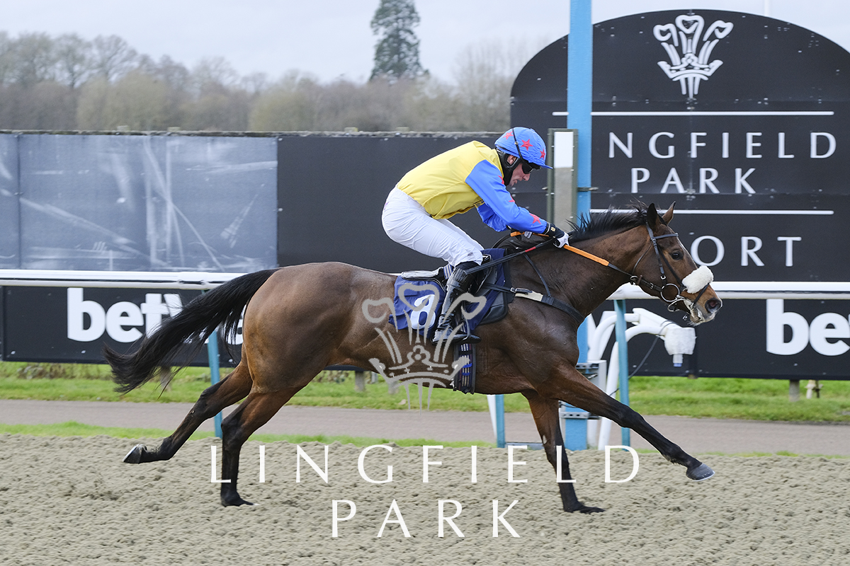 RESULT RACE 1 - @CasumoSports Bet 10 Get 20 Open National Hunt Flat Race (Category 1 Elimination) (GBB Race)

🥇 Gentle Fire
🥈 Zucayan
🥉 Missfit

Jockey: <a href="/dannyburty/">Danny Burton</a> 

Trainer: Samuel Drinkwater

Owners: Court Reclamation &amp; Salvage Ltd

📸 @JH_photographer