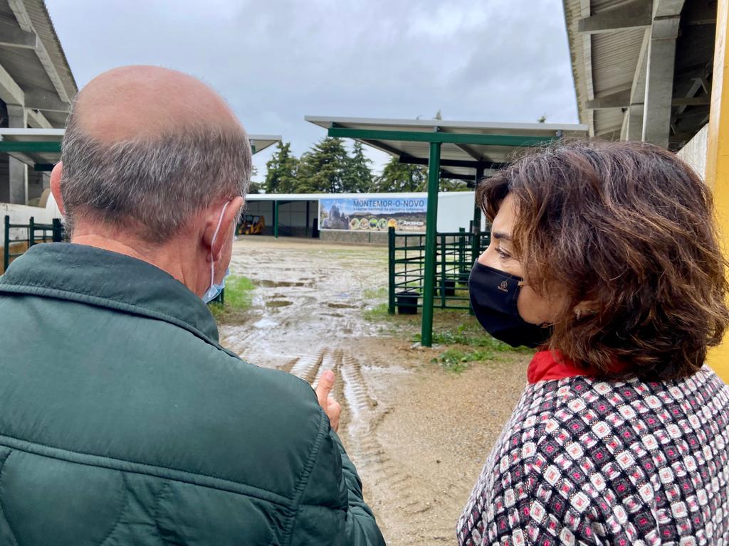 agricultura_pt's tweet photo. Já durante a tarde, a Ministra da Agricultura visitou a #APORMOR. Esta associação, para além de assumir um papel determinante na representação da fileira dos bovinos, ovinos e caprinos, é ainda uma plataforma de encontro entre vendedores e compradores na região do Alentejo. https://t.co/E836j0EJ4E