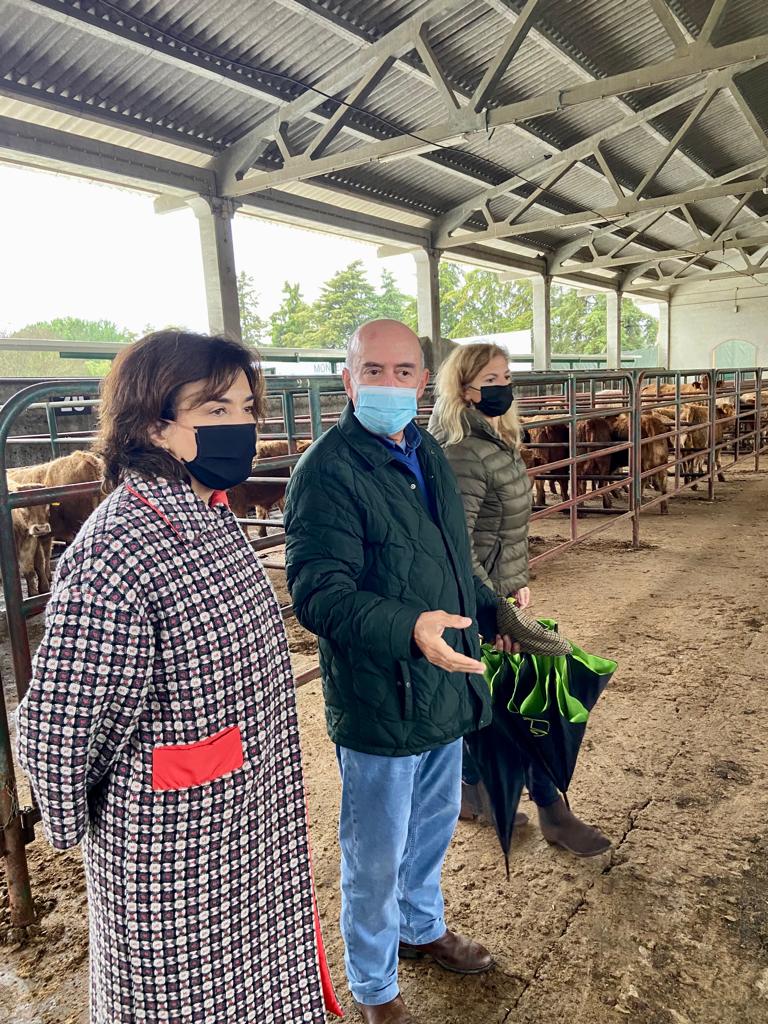 agricultura_pt's tweet photo. Já durante a tarde, a Ministra da Agricultura visitou a #APORMOR. Esta associação, para além de assumir um papel determinante na representação da fileira dos bovinos, ovinos e caprinos, é ainda uma plataforma de encontro entre vendedores e compradores na região do Alentejo. https://t.co/E836j0EJ4E