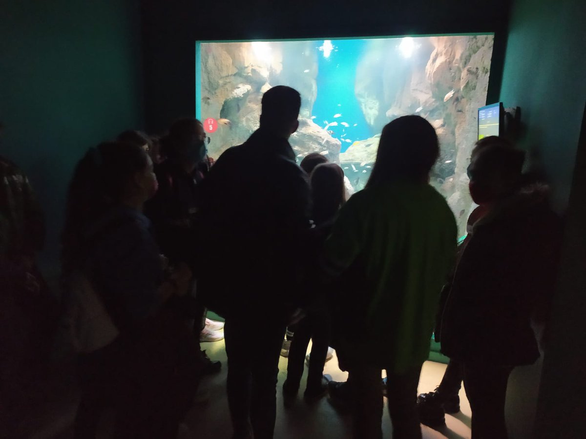AJBzaragoza's tweet photo. Y para despedir el primer trimestre del curso aquí tenéis las fotos de las excursiones!! Os esperamos en enero y feliz Navidad! 💛💙 https://t.co/FrG9cfiYk5