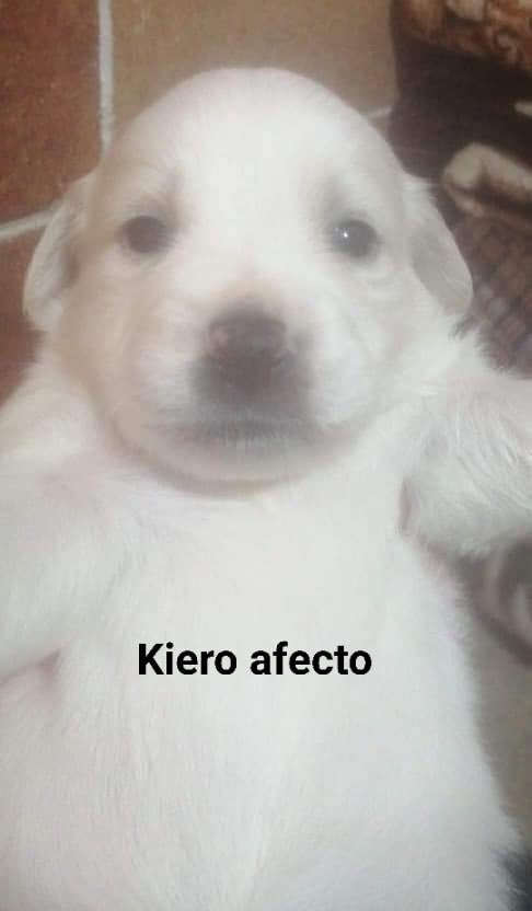 nizariweya's tweet photo. dos moods únicamente https://t.co/5QGTaEr2PD