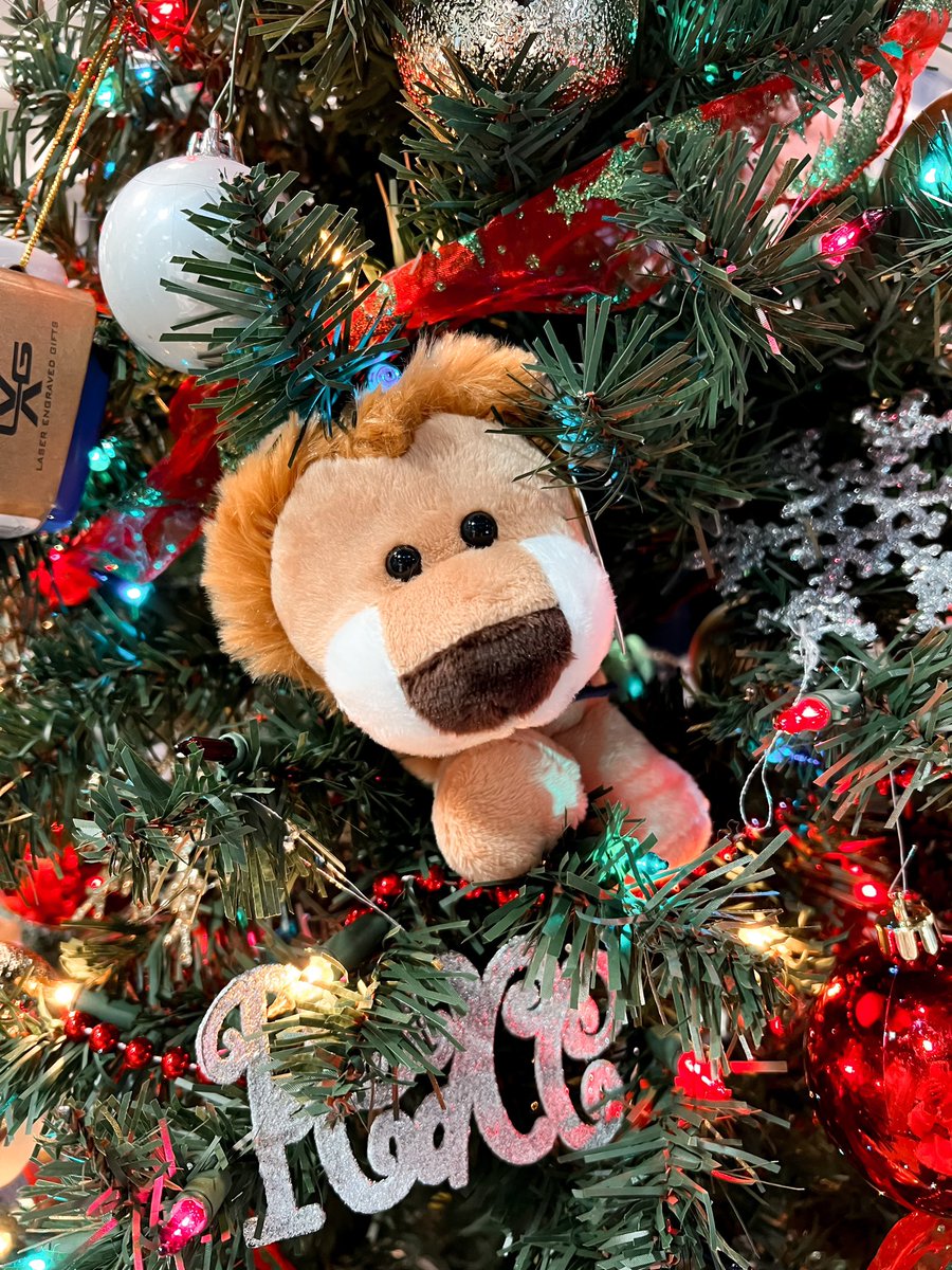 uafsbookstore's tweet photo. If you haven’t turned in your rental books we’re open this week Monday-Wednesday from 7:45-4:00

We will be closed from December 23-January 2 and reopen January 3rd with our normal hours. 

Have a great break and we’ll see you in the new year! ❄️

#uafs #uafsbookstore #bncollege https://t.co/hWdzjc2D0y