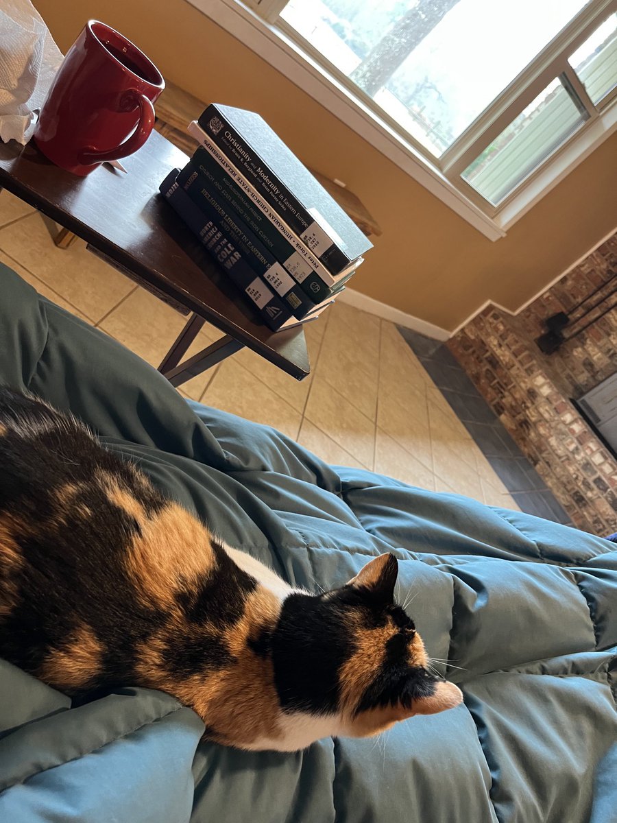 PatrickCLeech's tweet photo. #ThinkingCat in training
#CalypsoTheKitten https://t.co/xmz7ykIo3U