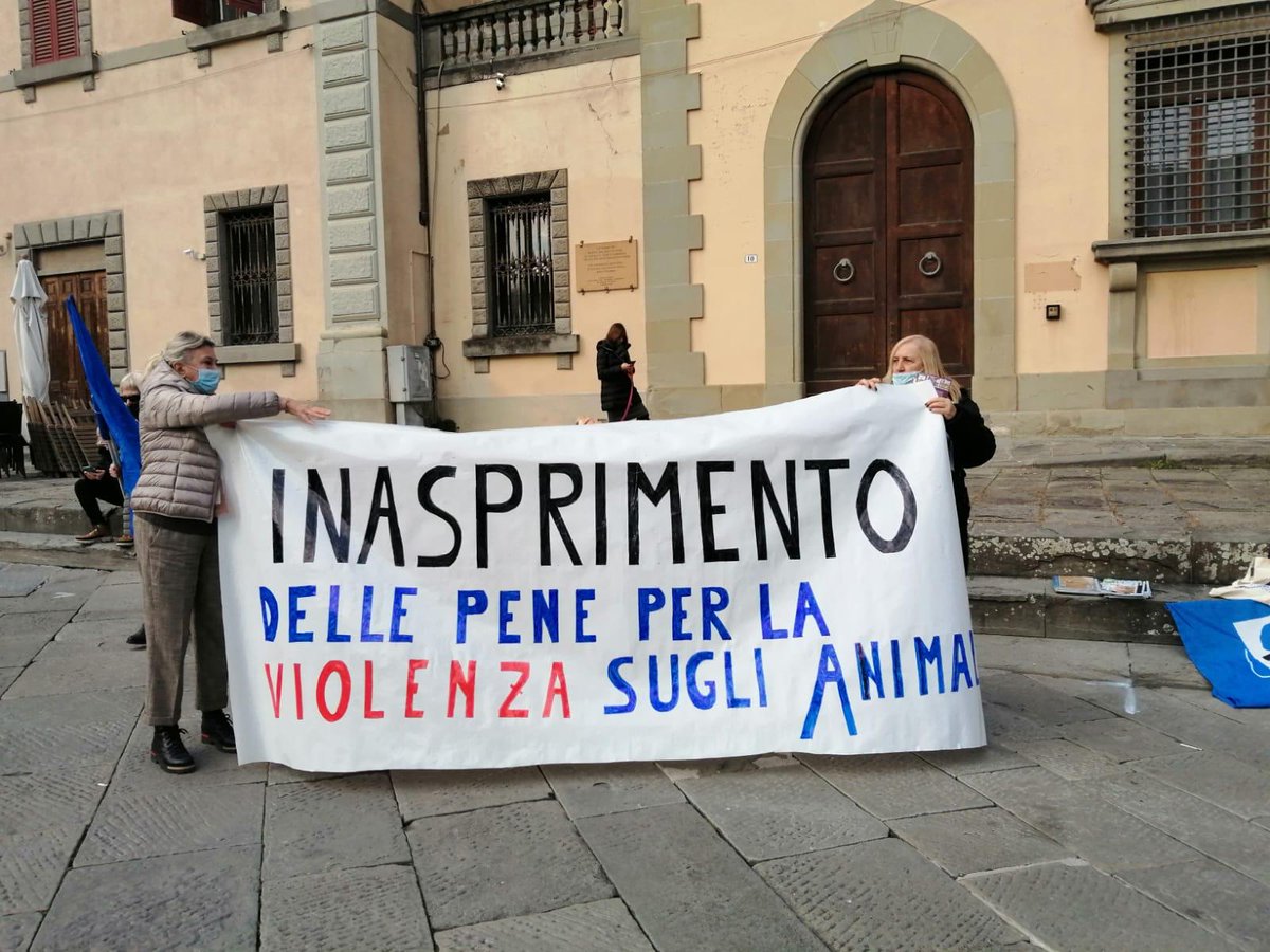 Animalistiitaly's tweet photo. Oggi siamo stati al Tribunale di #Pistoia per il processo contro Gaetano Foco che seviziò e uccise la povera cagnolina Pilù per vendicarsi dell'ex fidanzata.
Il 9 giugno 2022 si avrà la sentenza definitiva. 

📷 Photogallery dalla manifestazione "Giustizia per #Pilù" 👇 https://t.co/bZQvnCFJtT