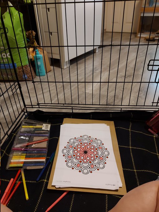 I was late getting to my Sir's. My punishment is being put in a dogs cage! #little #ageplay #dogcage<a href="/tag/bdsm"class="tags"><span>#bdsm</span></a><a href="/tag/little"class="tags"><span>#little</span></a><a href="/tag/ageplay"class="tags"><span>#ageplay</span></a><a href="/tag/punishment"class="tags"><span>#punishment</span></a><a href="/tag/daddyslittlegirls"class="tags"><span>#daddyslittlegirls</span></a>