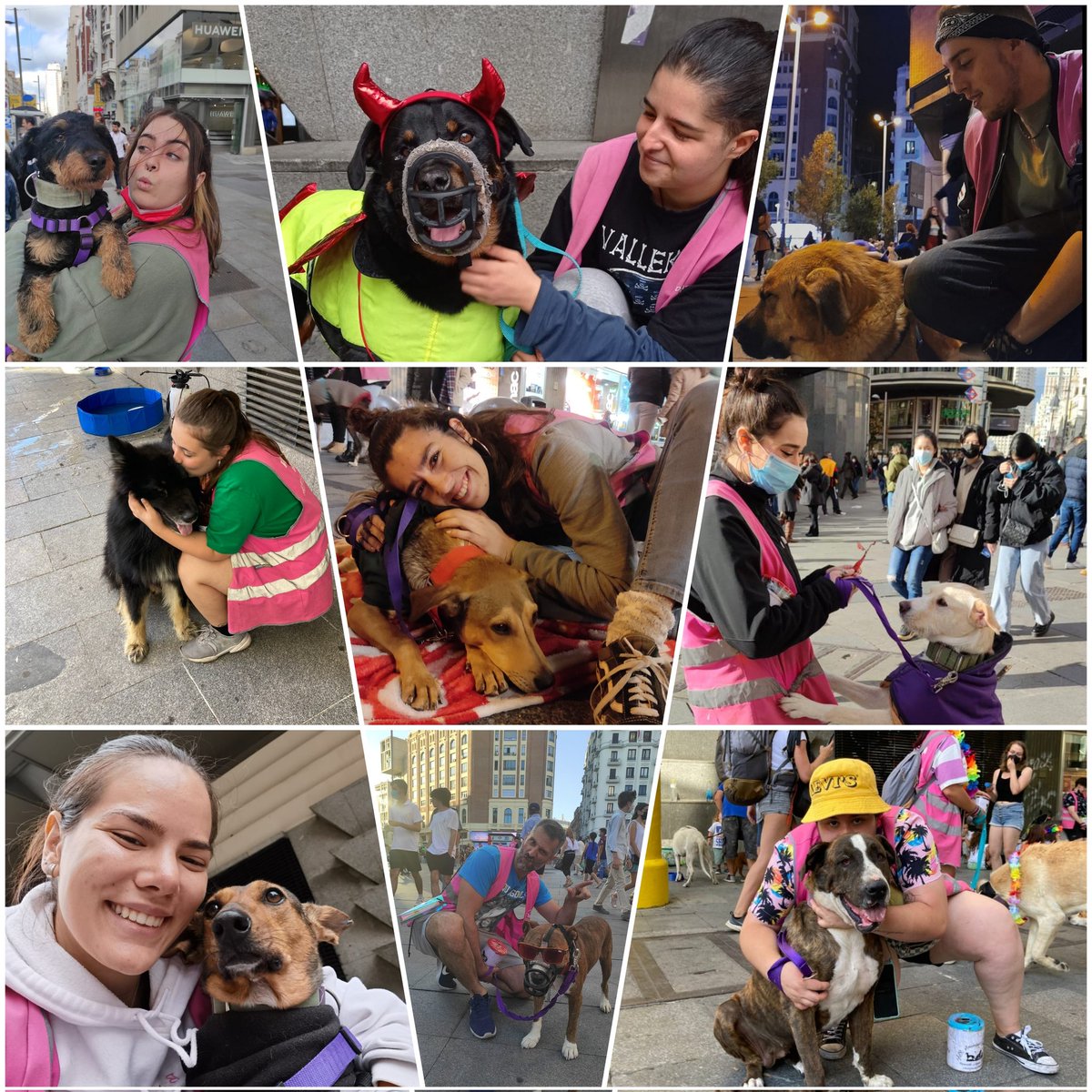 Fraan__poetry's tweet photo. ¡¡Necesitamos voluntarios que quieran venir a Callao (Madrid) y que nos ayuden a dar visibilidad a los peludos!!

¡¡Se acercan fechas muy importantes para nosotros y necesitamos de vuestra ayuda!!

Se agradece difusión please ✨
DM para cualquier pregunta y si apuntaros 🐕🐶 https://t.co/JPFdGFjOap