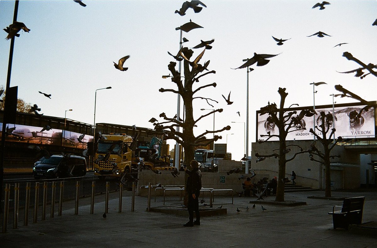 RazanAlSoghayer's tweet photo. Developed my first roll of film! #olympusom10 https://t.co/RV4CbDjtvW