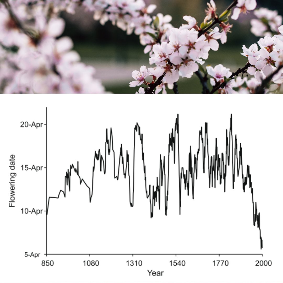 Thuan Sarzynski tweet media