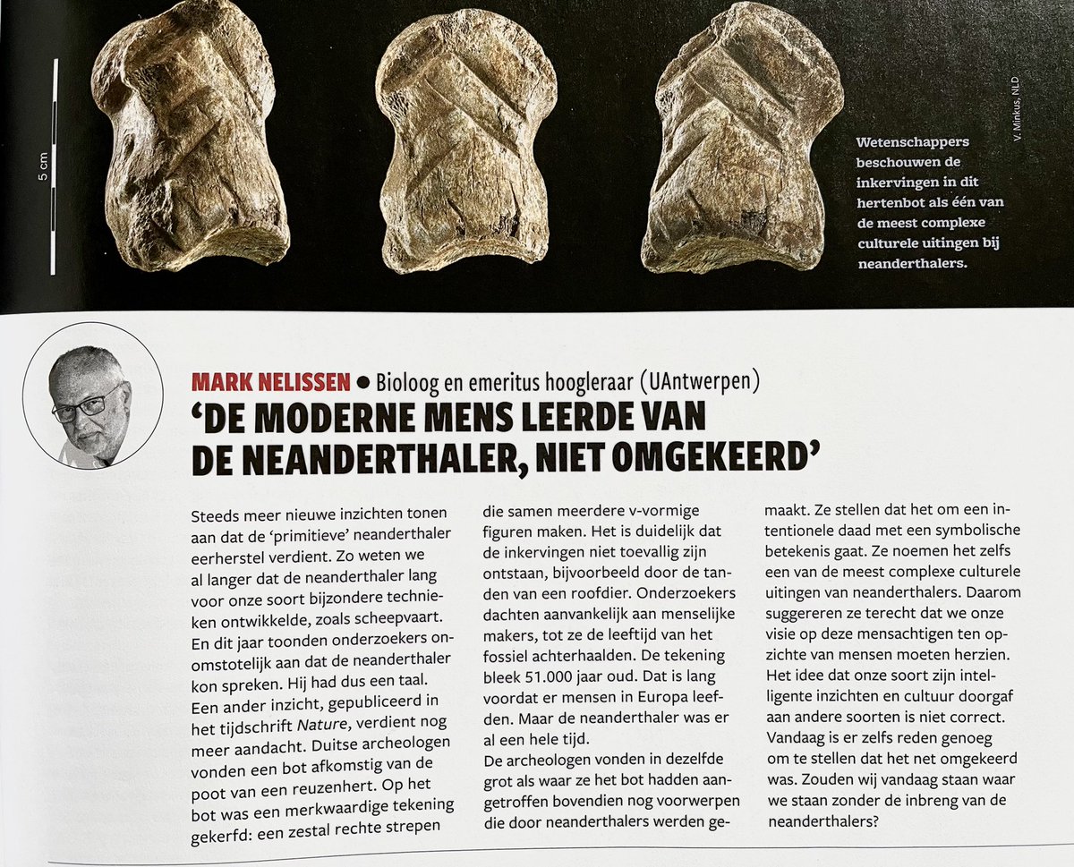 Ik schreef enkele woorden over de neanderthaler in EOS. Men hangt steeds een verkeerd beeld van hem op.