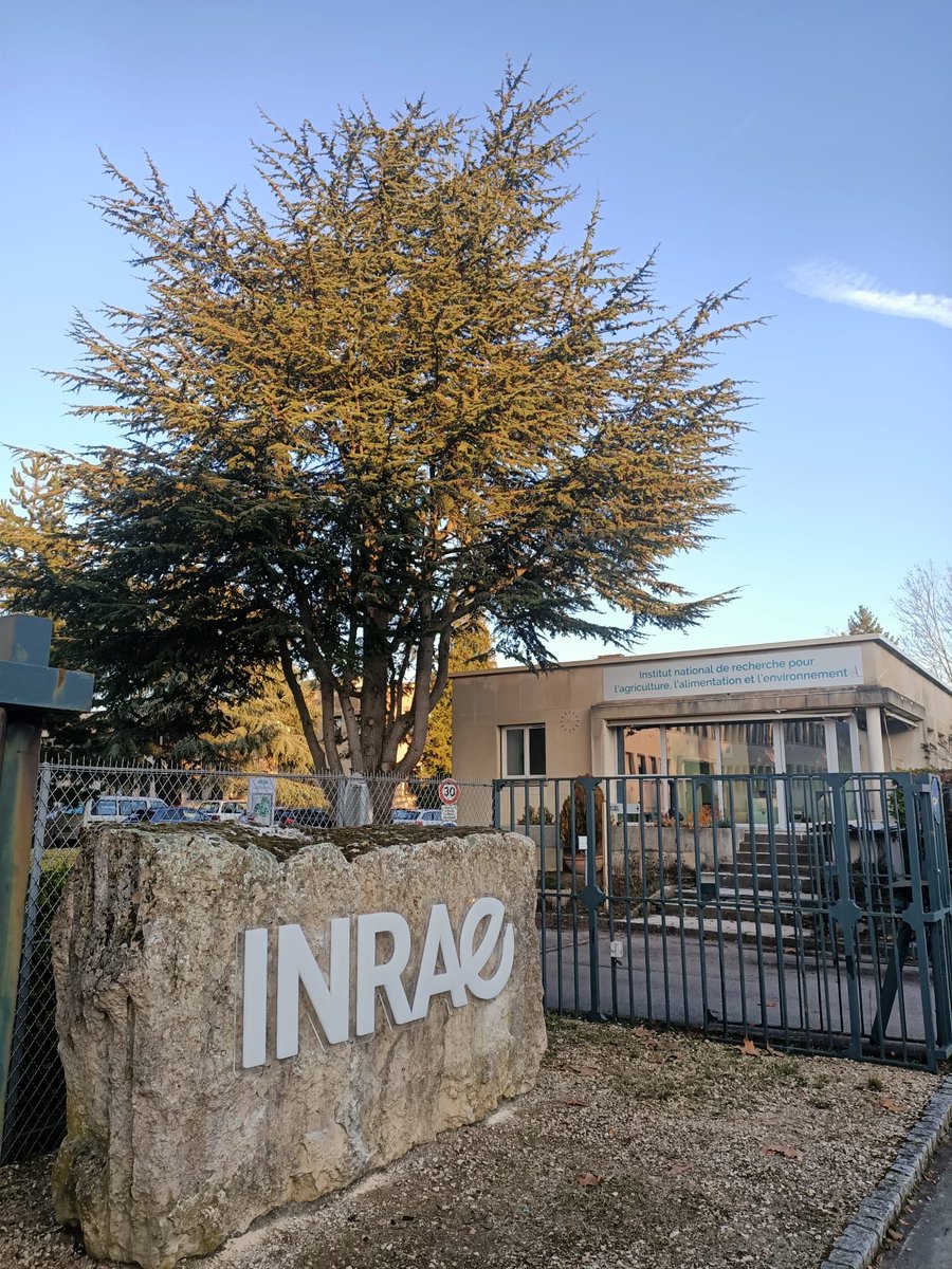 INRAE_BFC_Dijon's tweet photo. Nouvelle signalétique à l’entrée de notre site de #Dijon ! Avec cette touche finale d’une mue entamée début 2020, cette fois ça y est : visuellement, nous sommes 100% ⁦@INRAE_France⁩ ! https://t.co/6jZY1khDmm