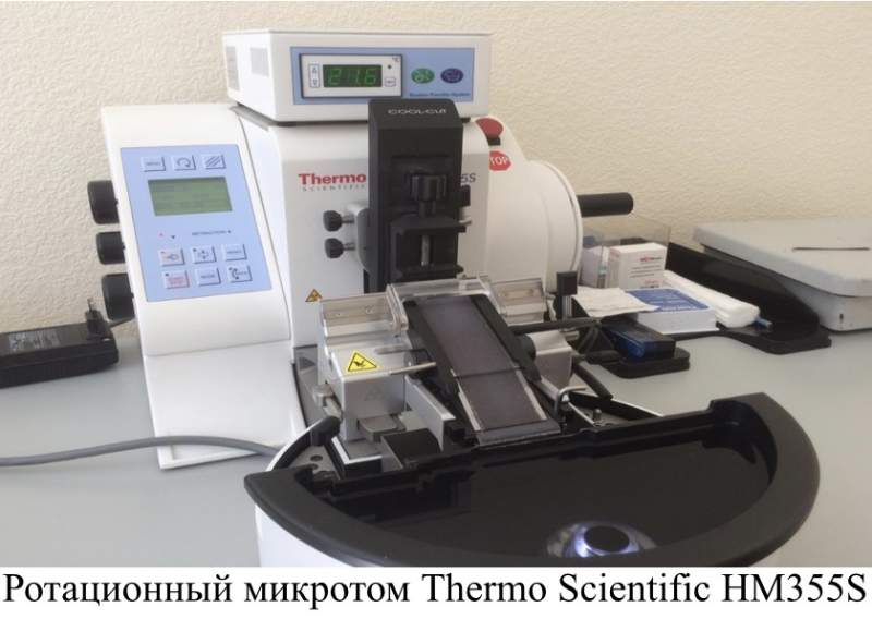 sciencemon_ru's tweet photo. Учёные НИИ кардиологии исследуют значение макрофагов оси «сердце-селезенка» в постинфарктной регенерации миокарда
https://t.co/8ouCvx31Hj https://t.co/Vqr6hY115C