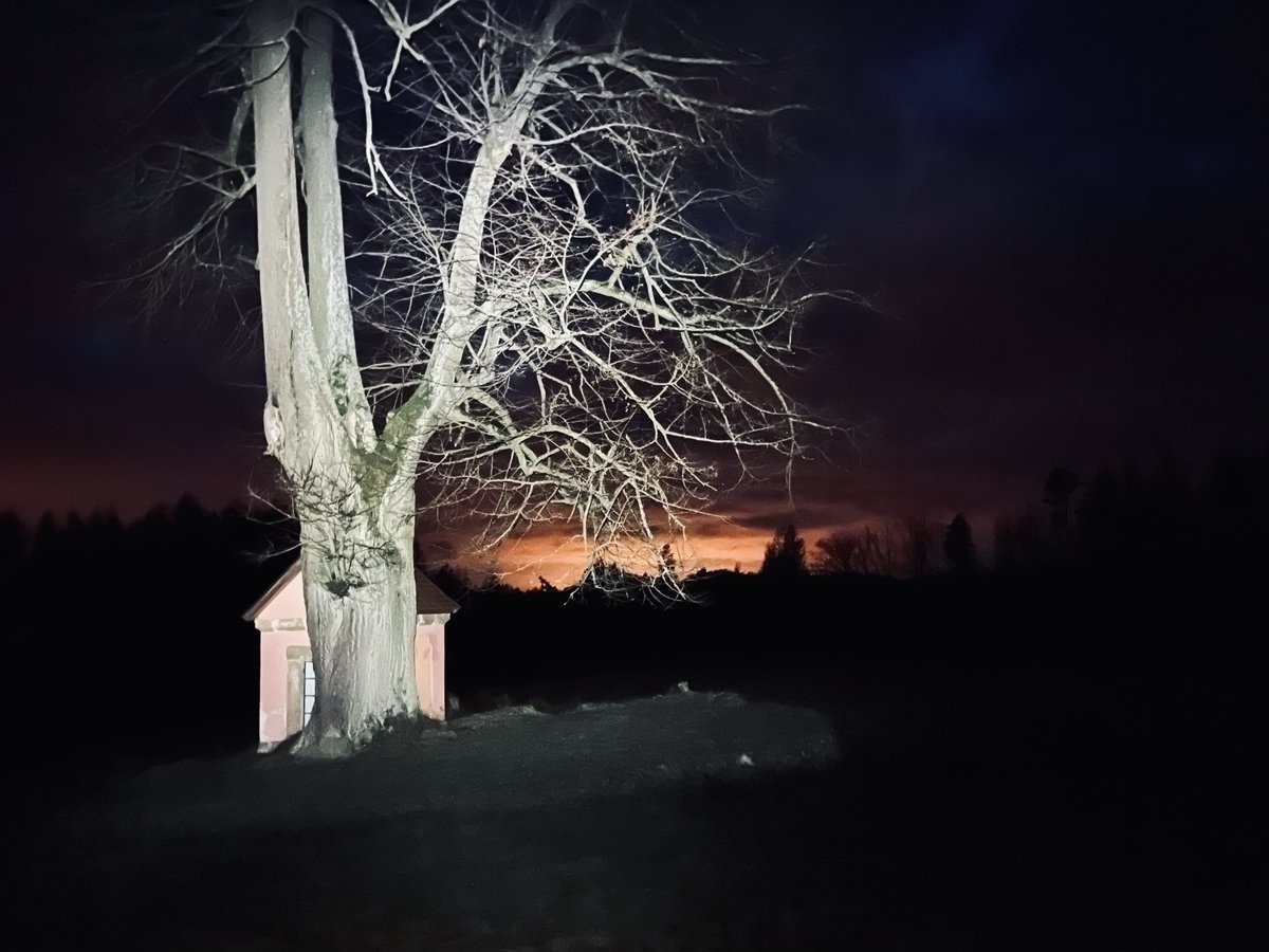 fipa's tweet photo. To venčení s čelovkou je někdy děsivý… #kaplicka #iphone13mini https://t.co/i0syQXAJe7
