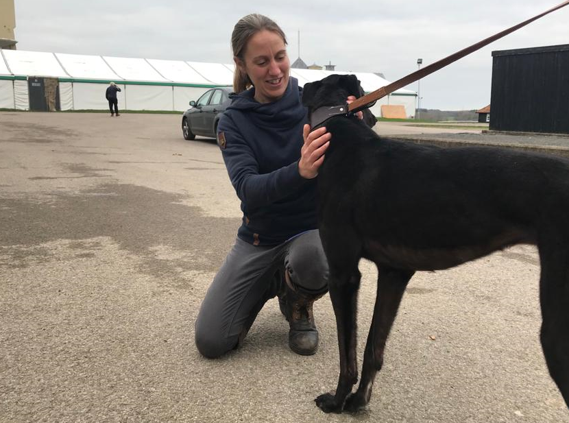 DR POLLY SMITH TO LEAD VETERINARY TEAM 🐕

👋 #OxfordStadium 🏟️ is pleased to confirm highly respected greyhound vet Dr Polly Smith will join our team ahead of next year's exciting reopening! 

👍 Polly will lead a team of qualified and experienced veterinary surgeons. 

📸⬇️