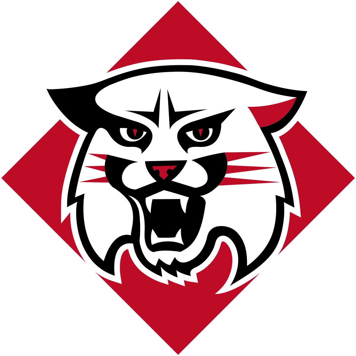 sylviejack2023's tweet image. Super excited and thankful to have received an offer from Davidson College! #wildcats #co23