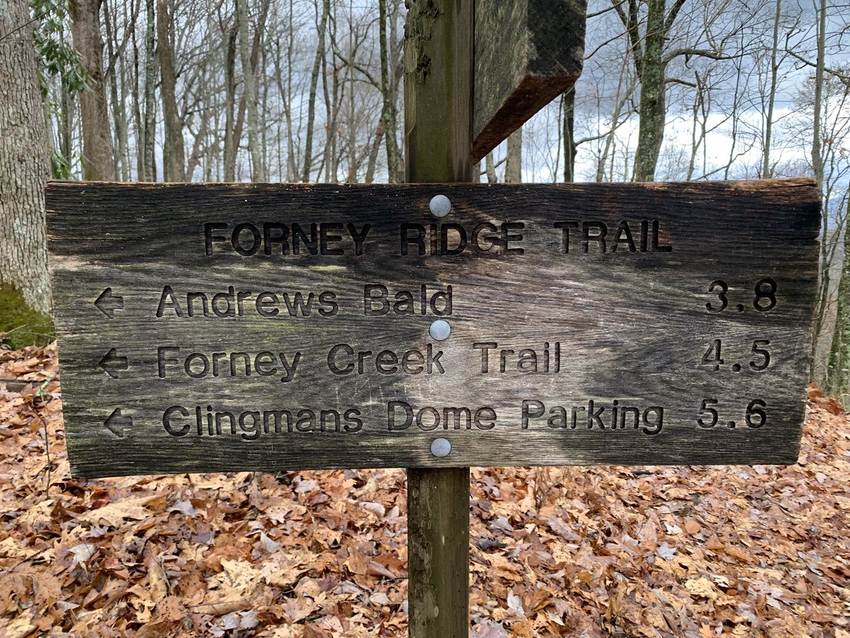 Chose the worst wknd for my first Smokeys trip. 50 mph winds w pelting rain. Few photos - didn’t want to risk phone out. Pretty sure the bears were looking at us in disbelief 😂. It was still pretty through