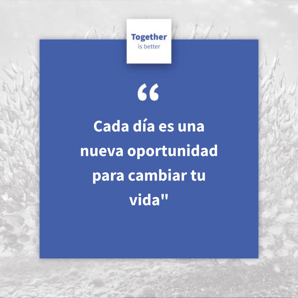 HubTogether's tweet photo. Each day is a new opportunity to change your life. 

Cada día es una nueva oportunidad para cambiar tu vida. 

#togetherisbetter #juntosesmejor #together #juntos #opportunity #oportunidad #changeyourlife #cambiatuvida https://t.co/aBjbb3FCyE