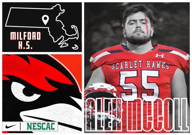 Alex McColl tweet media