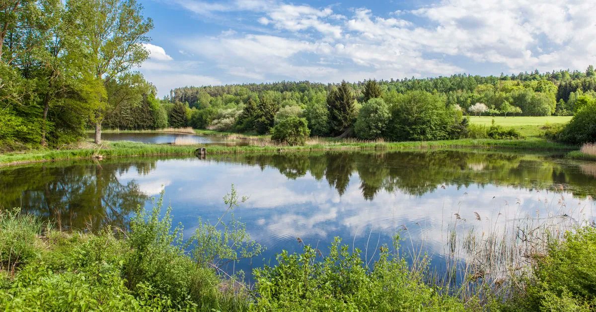 ✏️ #Article : Refonte de la nomenclature loi sur l' #eau : les nouveautés en matière de vidange des plans d'eau 💧  RDV sur 👉 buff.ly/2UMs54r <a href="/Actuenviro/">Actu Environnement</a>